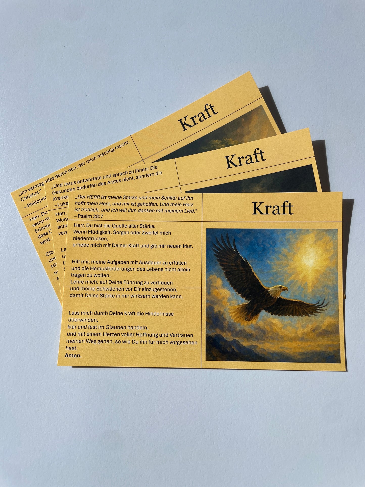 Kraft - 3Stk.
