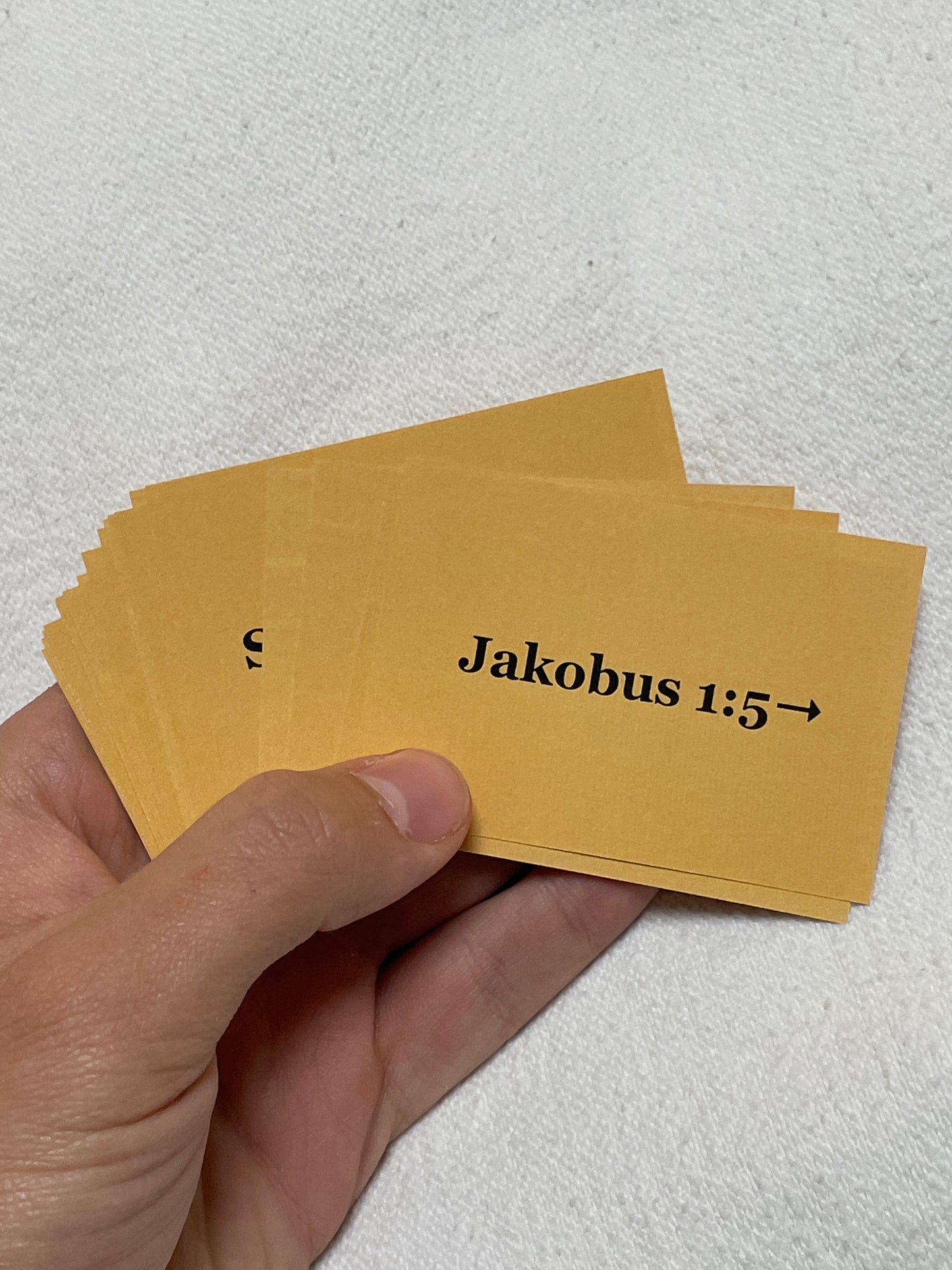 goodfruit Lernkarten Gehorsam und Weisheit 20er-Set christlich